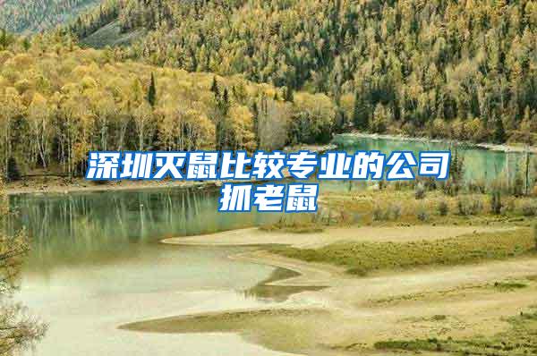深圳滅鼠比較專(zhuān)業(yè)的公司抓老鼠