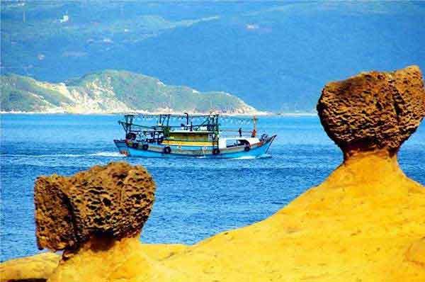 臭蟲的簡(jiǎn)介危害及防制