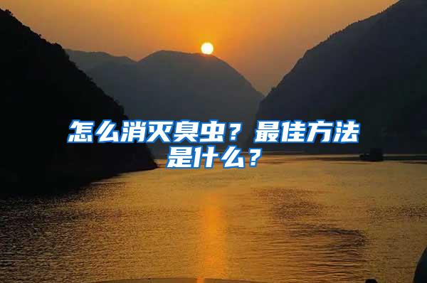 怎么消滅臭蟲？最佳方法是什么？