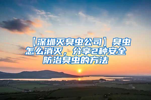 【深圳滅臭蟲公司】臭蟲怎么消滅，分享2種安全防治臭蟲的方法