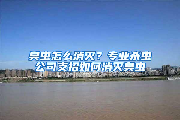 臭蟲怎么消滅？專業(yè)殺蟲公司支招如何消滅臭蟲