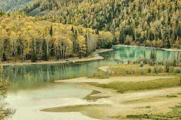 家庭怎么滅蟑、滅蟻？-深圳專業(yè)殺蟲公司