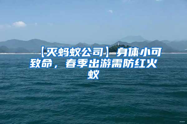 【滅螞蟻公司】身體小可致命，春季出游需防紅火蟻