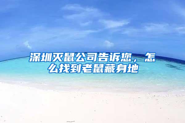 深圳滅鼠公司告訴您，怎么找到老鼠藏身地