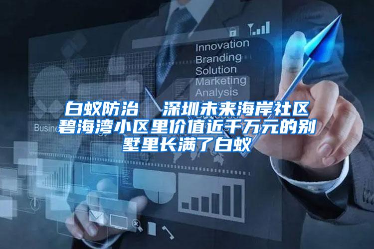 白蟻防治  深圳未來海岸社區(qū)碧海灣小區(qū)里價(jià)值近千萬元的別墅里長滿了白蟻