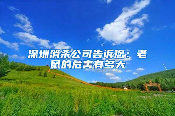 深圳消殺公司告訴您:老鼠的危害有多大