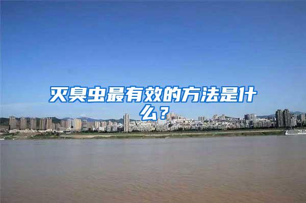 滅臭蟲最有效的方法是什么?