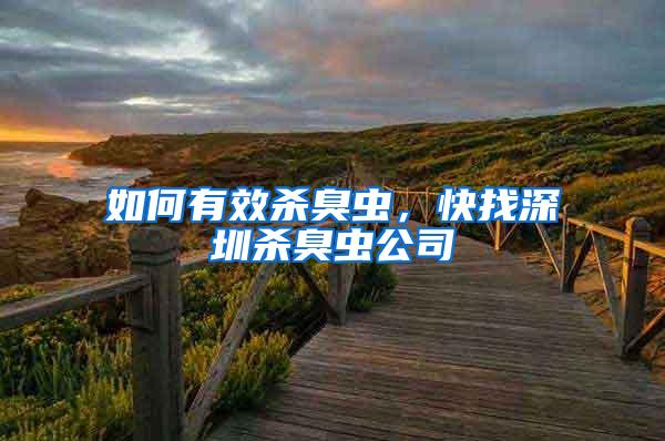 如何有效殺臭蟲，快找深圳殺臭蟲公司