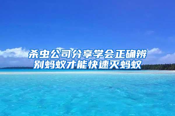 殺蟲公司分享學(xué)會(huì)正確辨別螞蟻才能快速滅螞蟻