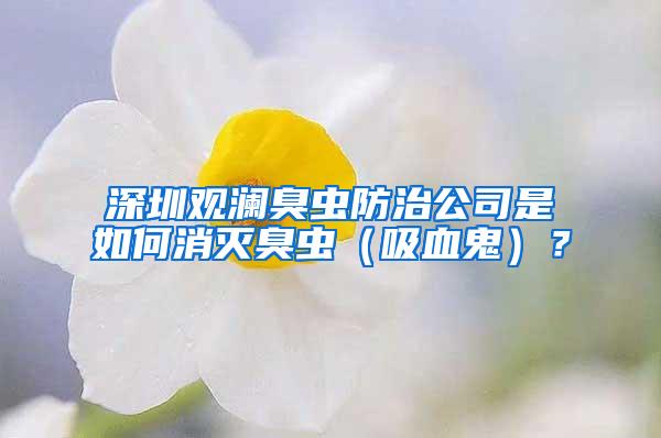 深圳觀瀾臭蟲防治公司是如何消滅臭蟲(吸血鬼)?