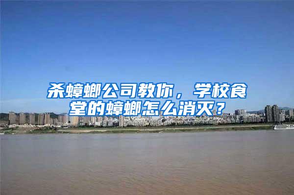 殺蟑螂公司教你，學(xué)校食堂的蟑螂怎么消滅？