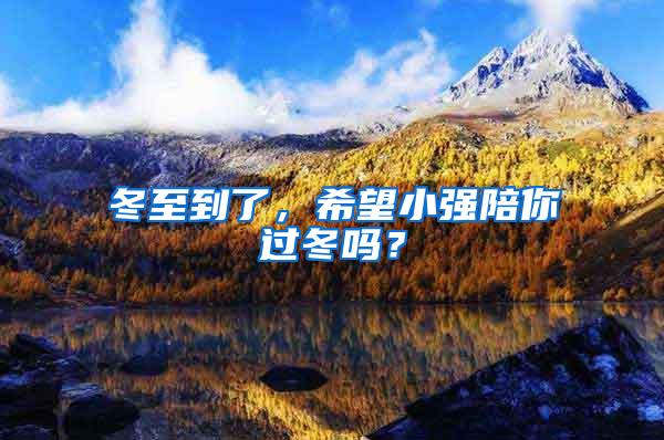 冬至到了，希望小強陪你過冬嗎？