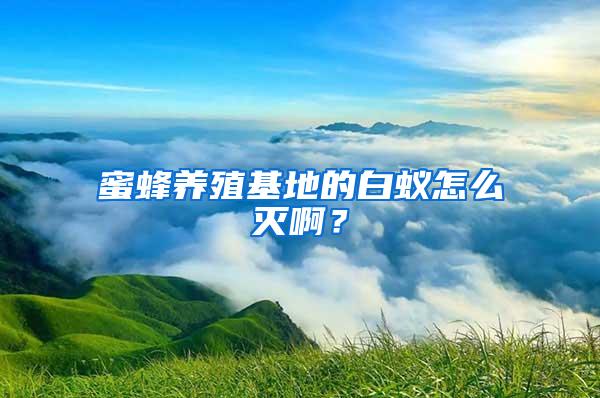 蜜蜂養(yǎng)殖基地的白蟻怎么滅啊？