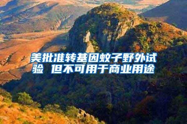 美批準(zhǔn)轉(zhuǎn)基因蚊子野外試驗 但不可用于商業(yè)用途