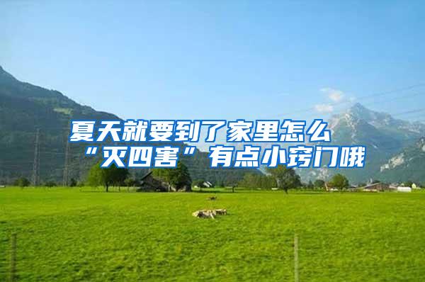 夏天就要到了家里怎么“滅四害”有點(diǎn)小竅門(mén)哦