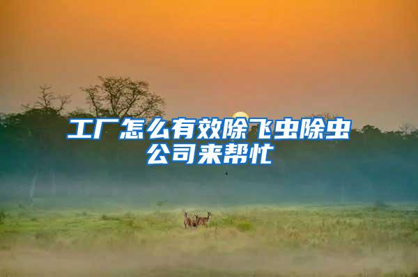 工廠怎么有效除飛蟲(chóng)除蟲(chóng)公司來(lái)幫忙