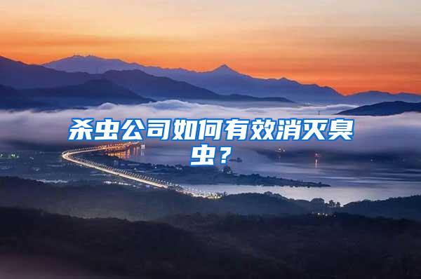 殺蟲公司如何有效消滅臭蟲?