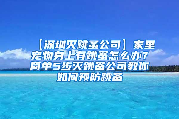 【深圳滅跳蚤公司】家里寵物身上有跳蚤怎么辦？簡(jiǎn)單5步滅跳蚤公司教你如何預(yù)防跳蚤