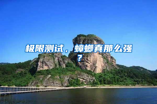 極限測試，蟑螂真那么強(qiáng)？