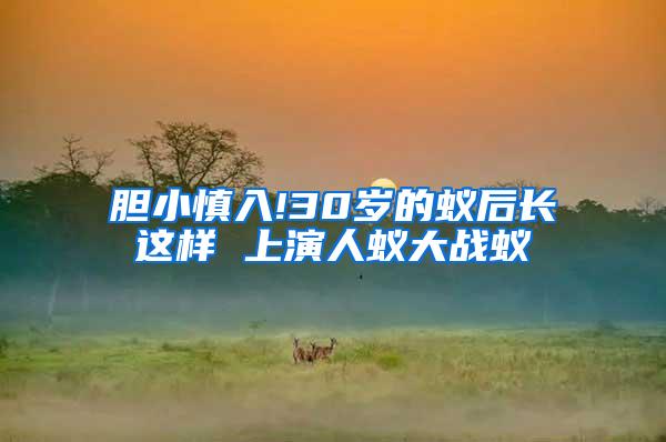 膽小慎入!30歲的蟻后長這樣 上演人蟻大戰(zhàn)蟻