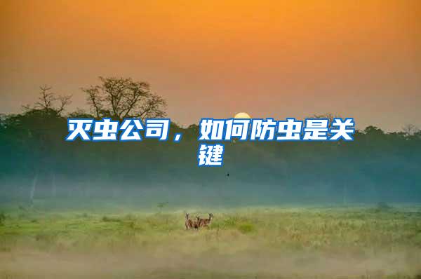 滅蟲公司，如何防蟲是關(guān)鍵