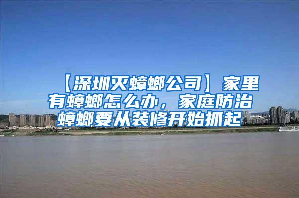 【深圳滅蟑螂公司】家里有蟑螂怎么辦，家庭防治蟑螂要從裝修開始抓起