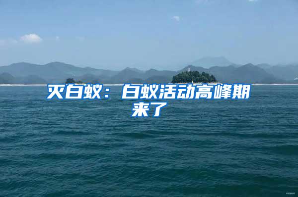 滅白蟻:白蟻活動(dòng)高峰期來(lái)了