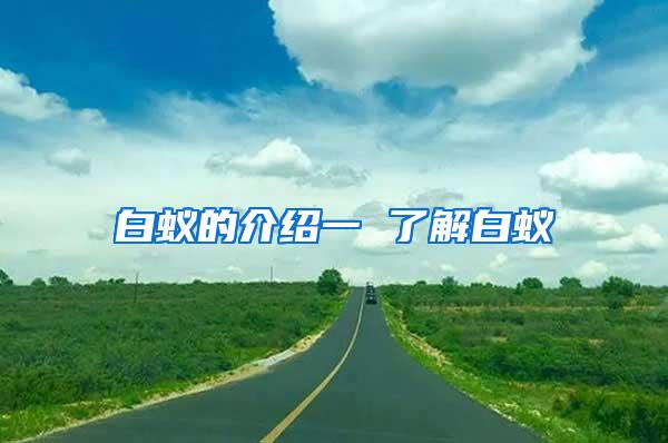 白蟻的介紹一 了解白蟻