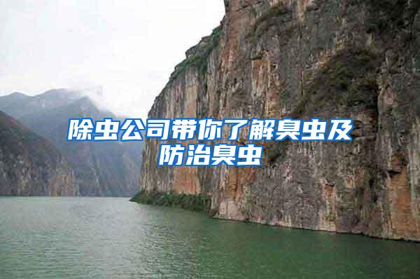 除蟲(chóng)公司帶你了解臭蟲(chóng)及防治臭蟲(chóng)