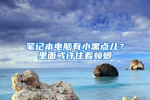 筆記本電腦有小黑點(diǎn)兒？里面或許住著蟑螂