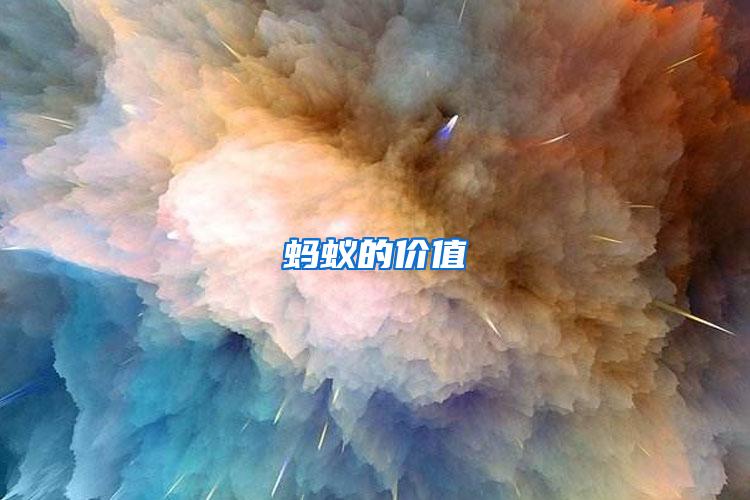 螞蟻的價(jià)值