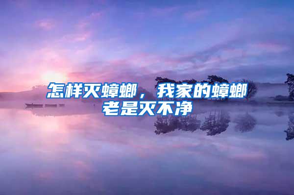 怎樣滅蟑螂，我家的蟑螂老是滅不凈