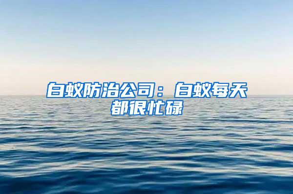 白蟻防治公司:白蟻每天都很忙碌