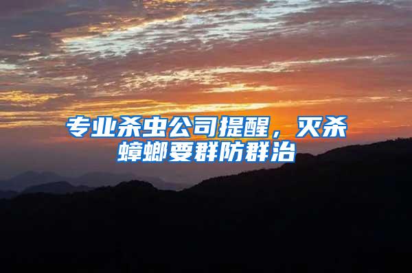 專業(yè)殺蟲公司提醒，滅殺蟑螂要群防群治