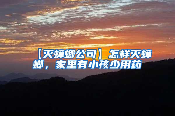 【滅蟑螂公司】怎樣滅蟑螂,家里有小孩少用藥