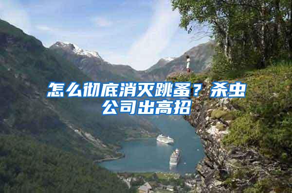 怎么徹底消滅跳蚤?殺蟲公司出高招