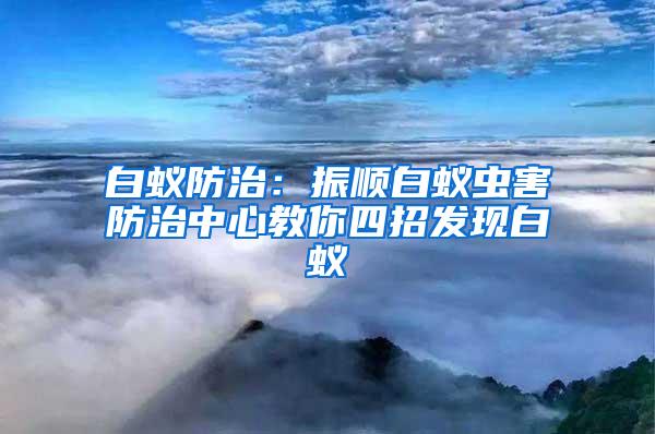 白蟻防治:振順白蟻蟲害防治中心教你四招發(fā)現(xiàn)白蟻