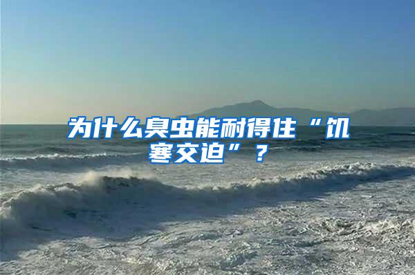 為什么臭蟲能耐得住“饑寒交迫”?