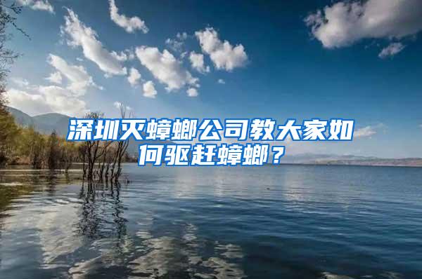 深圳滅蟑螂公司教大家如何驅(qū)趕蟑螂？