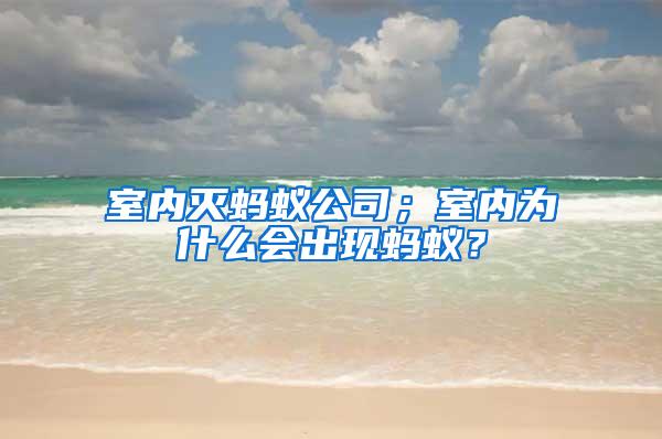室內(nèi)滅螞蟻公司；室內(nèi)為什么會出現(xiàn)螞蟻？