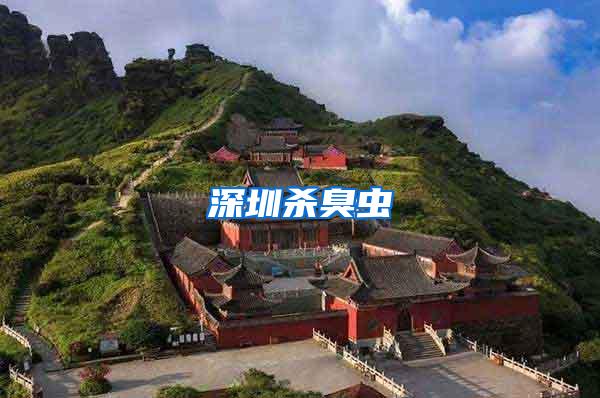 深圳殺臭蟲(chóng)