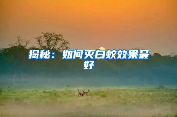 揭秘:如何滅白蟻效果最好