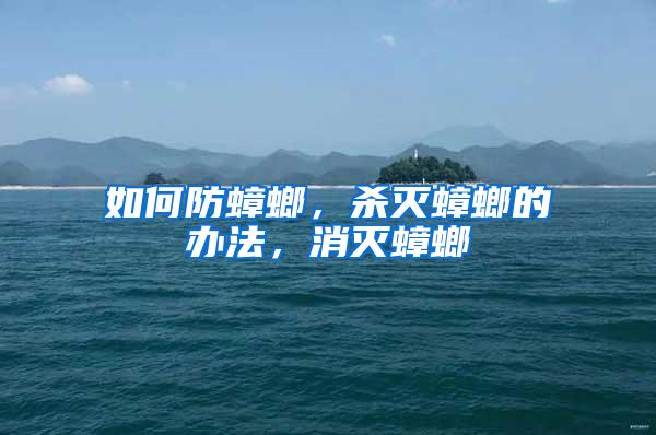 如何防蟑螂，殺滅蟑螂的辦法，消滅蟑螂