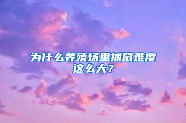 為什么養(yǎng)殖場(chǎng)里捕鼠難度這么大？