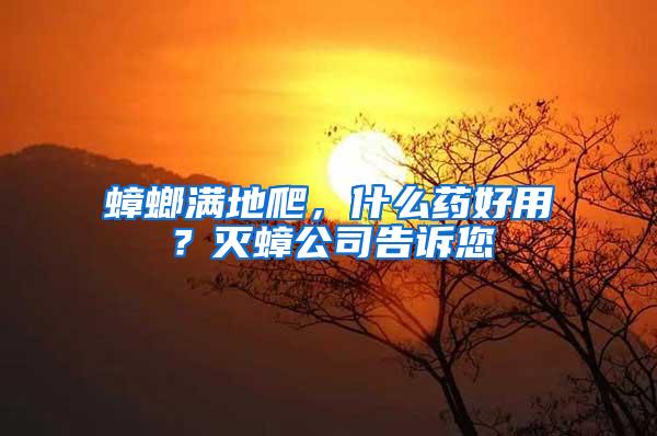蟑螂滿地爬，什么藥好用？滅蟑公司告訴您