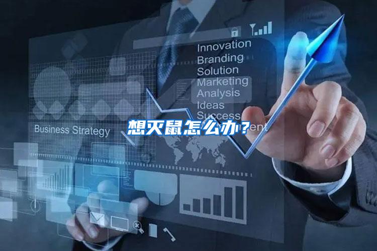 想滅鼠怎么辦?
