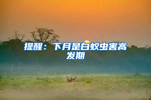 提醒:下月是白蟻蟲害高發(fā)期