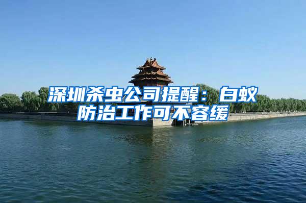 深圳殺蟲公司提醒:白蟻防治工作可不容緩