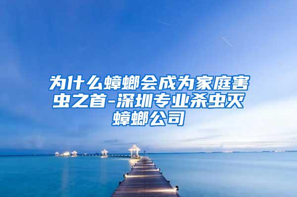 為什么蟑螂會成為家庭害蟲之首-深圳專業(yè)殺蟲滅蟑螂公司