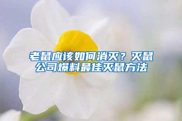老鼠應(yīng)該如何消滅?滅鼠公司爆料最佳滅鼠方法